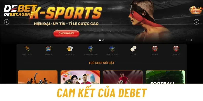 Cam kết về chúng tôi