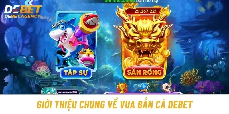 Giới thiệu chung về Vua Bắn Cá Debet