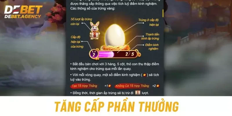 Tăng cấp phần thưởng 